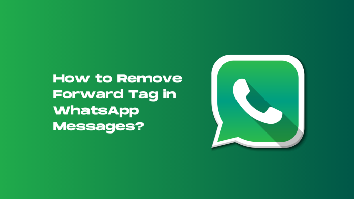 How to Remove Forward Tag in WhatsApp Messages